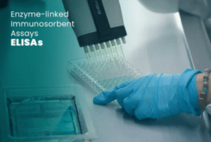 fragen by intermedica 2
