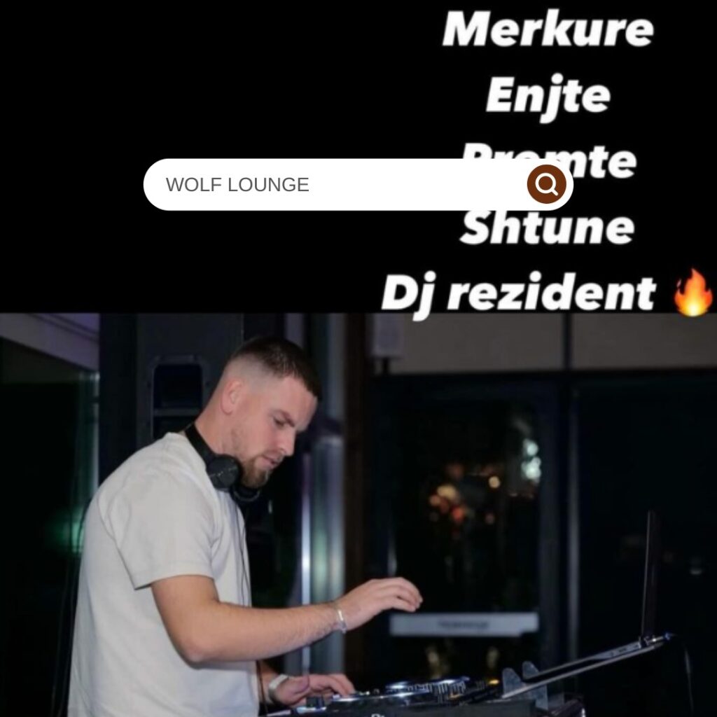 wolf lounge durres durresinfo