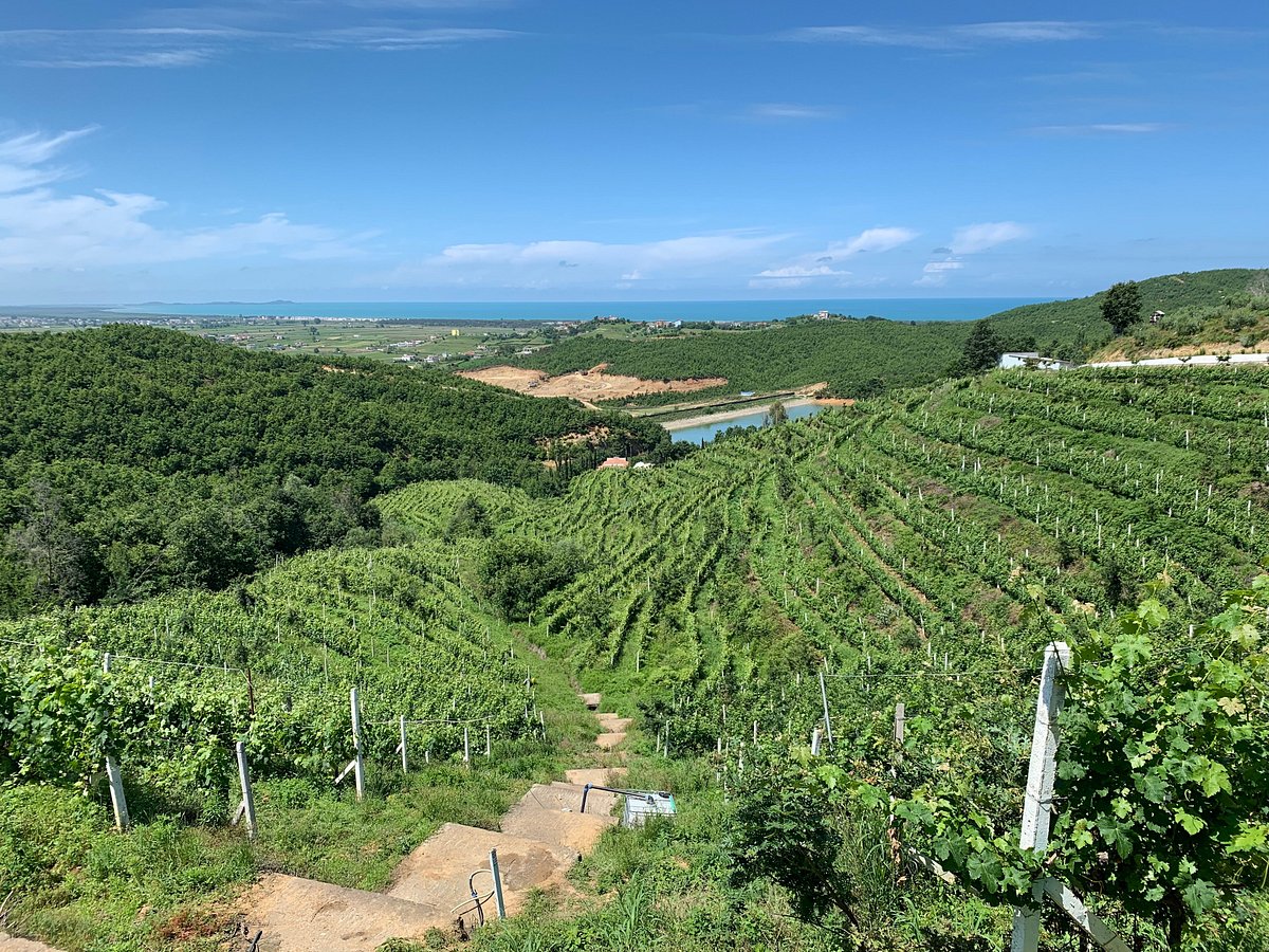 duka winery & vineyard