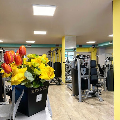 myo gym durresinfo