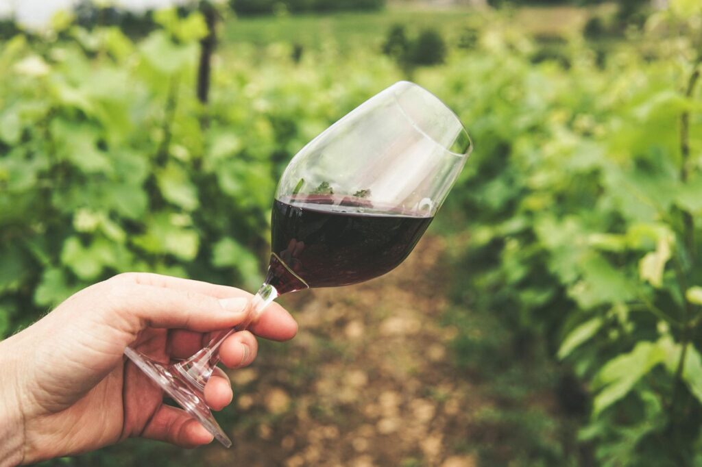 Wine Tasting Tours in Durrës - Explore the Vineyards