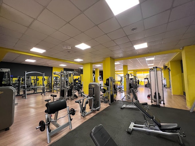 powerhouse gym durresinfo