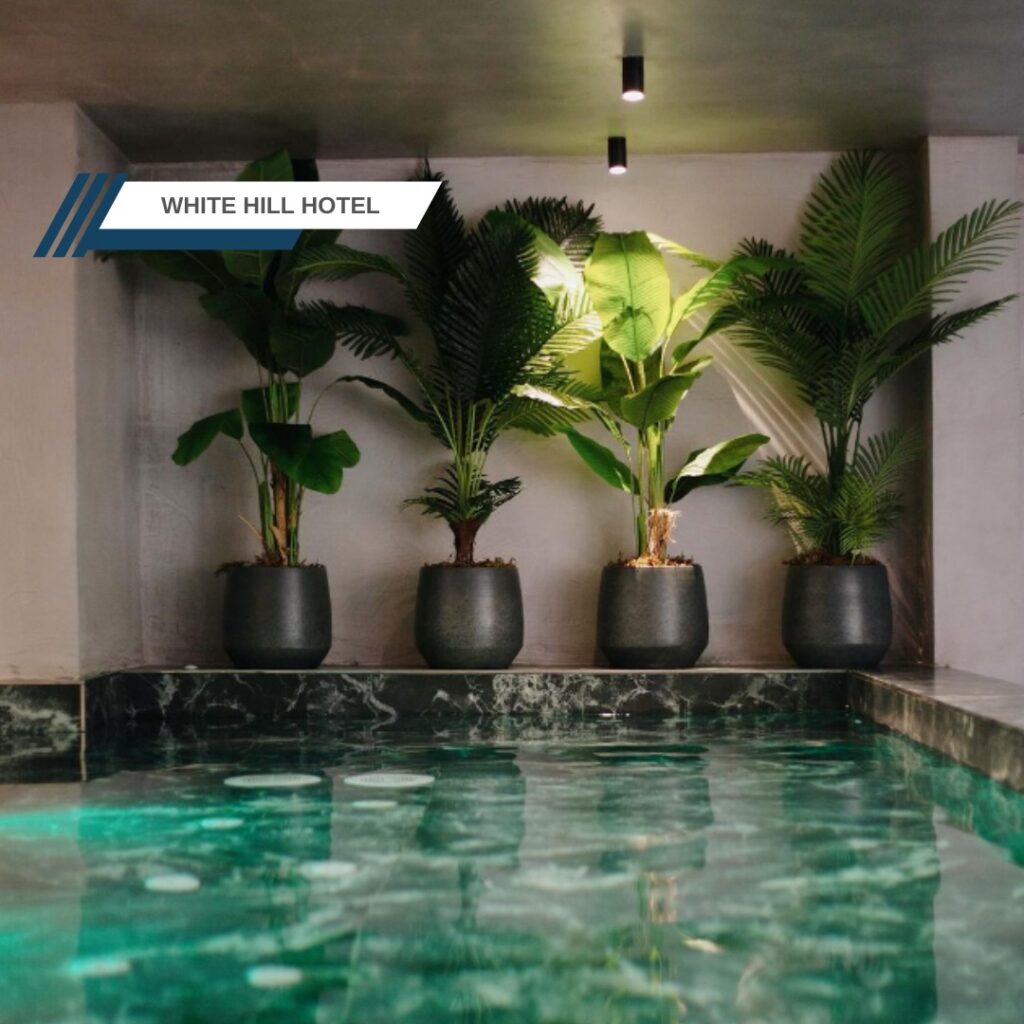 white hill hotel