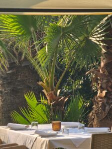 acqua pazza restaurant golem durresinfo 9