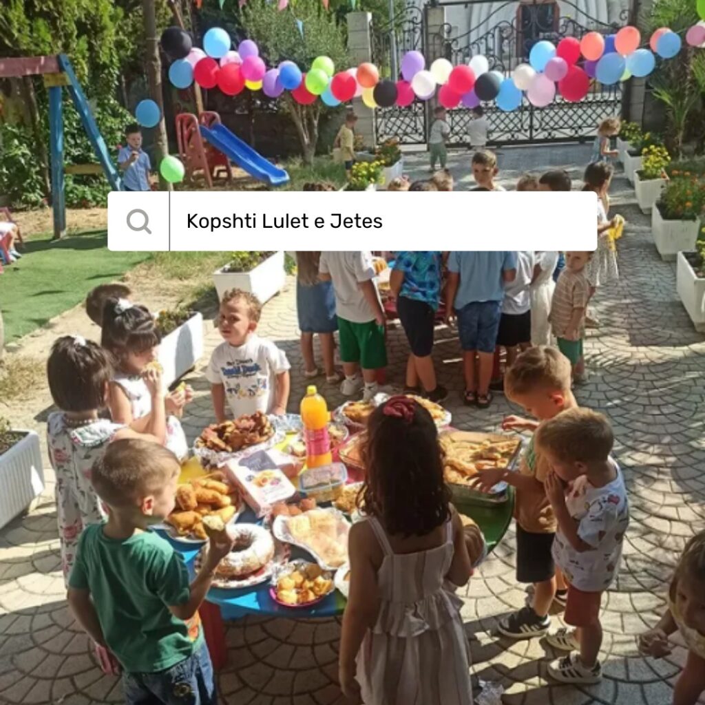 kopshti lulet e jetës – fokus te zhvillimi emocional