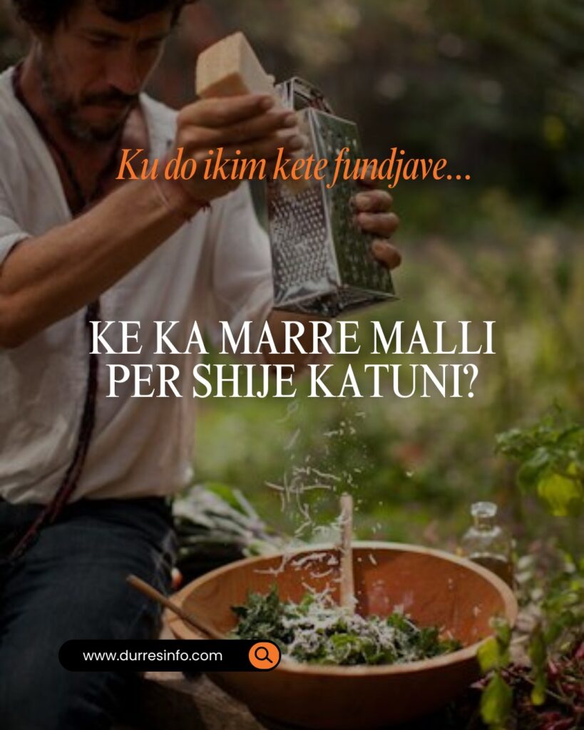 whatsapp image 2025 07 18 at 11.11.49 am