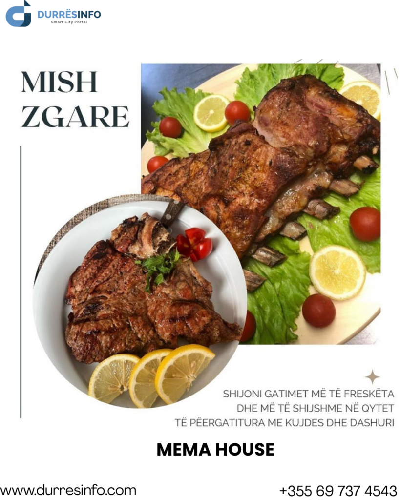 mishi më i mirë në Durrës