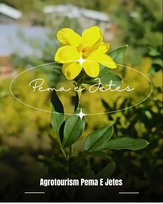 Agroturizëm Pema e Jetës