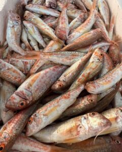 Sapore di Mare