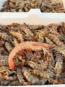Sapore di Mare