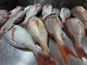 Sapore di Mare
