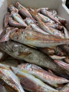 Sapore di Mare