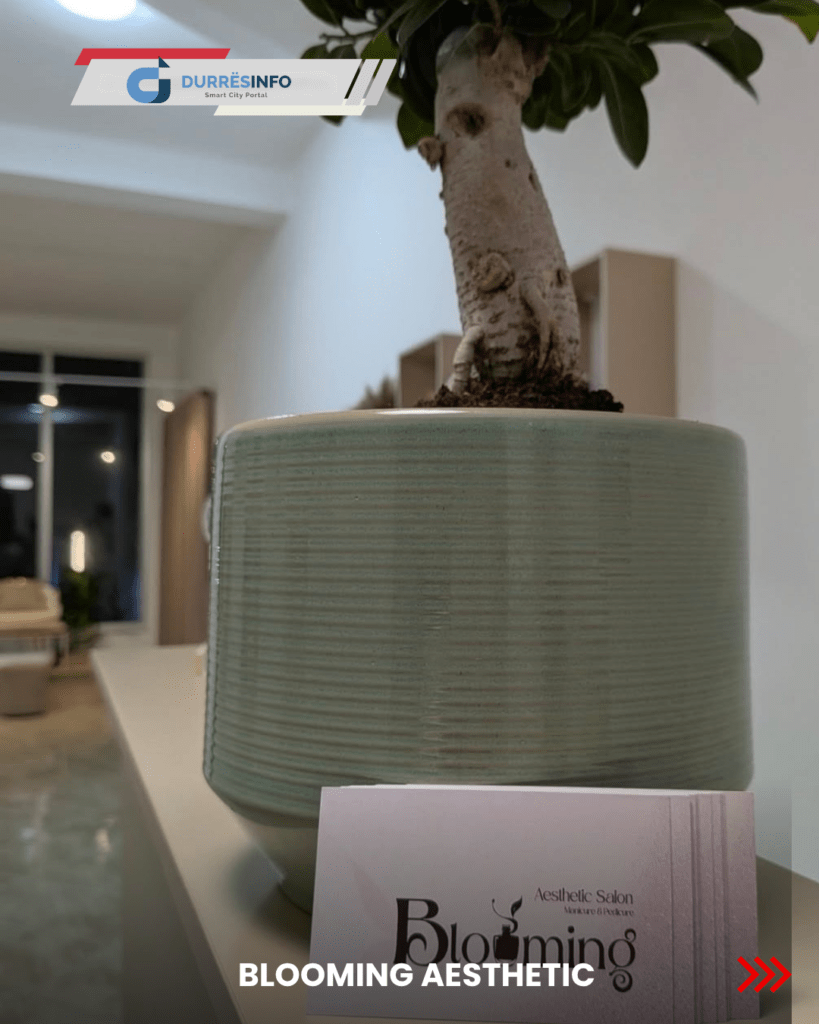 blooming aesthetic bizneset me te pelqyera ne plazh durres durresinfo